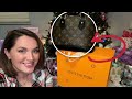 Watch me unbox this beautiful bag from colestore  honest review