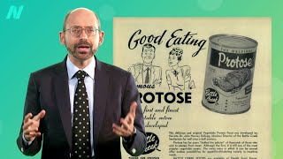 PlantBased Meat Substitutes Put to the Test