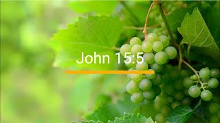 John 15:5 (ESV) | Awana | Agents of Grace
