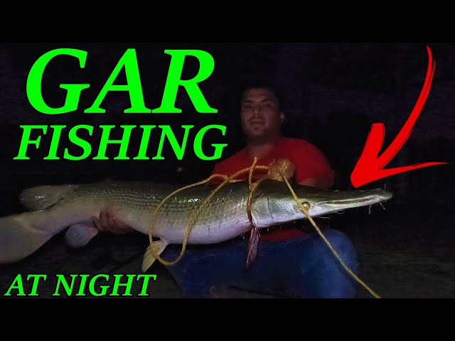 FISHING FOR ALLIGATOR GAR AT NIGHT 