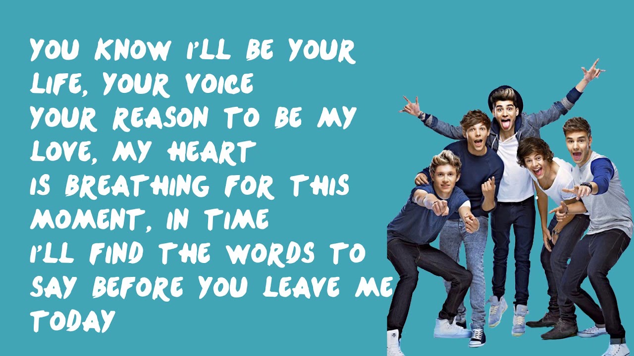 Moments   One Direction Lyrics