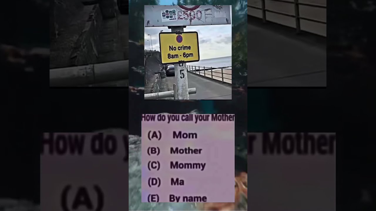 6p Funnyimages Memes Zyxabc Memesdaily
