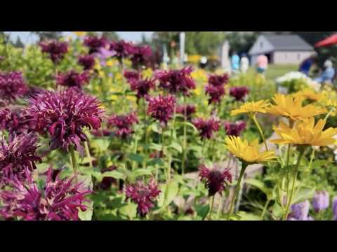 Victory Gardens & Spring Prep: Expert Gardening Tips for Northern Minnesota | Great Gardening