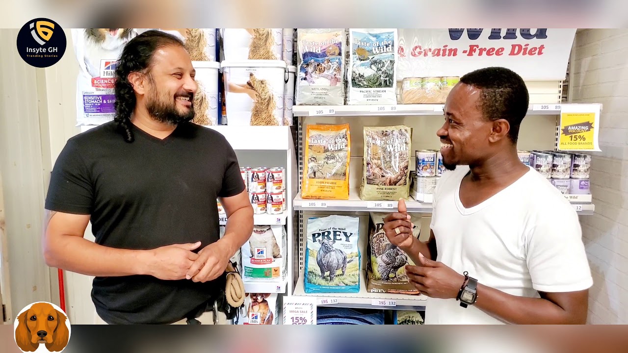 Expert Tips on Owning a Dog in UAE with Bhaal UAEDogmentor Dogs in