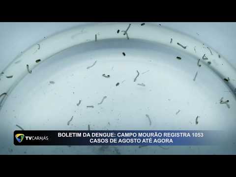 Campo Mourão registra 1053 casos de dengue de agosto até agora