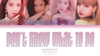 BLACKPINK - Don't Know What To Do (Color Coded Lyrics) 