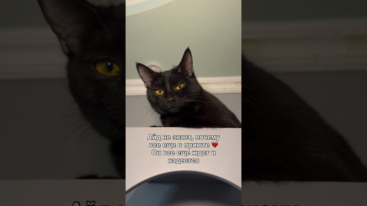 Доставка в другие города г.Саранск  +79271880201 телеграмм/вотсап, Тгк: Nstershova - подпишись 🙏🏻