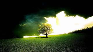 Dj Andrius P - She's Gone (Original) *Free mp3*
