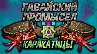 Каракатицы - Гавайский Промысел. Русская рыбалка 3.