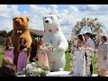 Медведи шоу на свадьбу в Минске, Беларуси. Dancing bears show