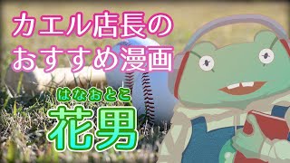 【おすすめ漫画】「花男 / 松本大洋」”親子"と"天才"をユーモラスに描いたおとぎ話!?カエル店長のススメ！【野球関連作】