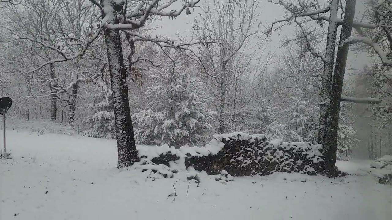 It's snowing in Missouri! 10 hours of snow today! Jan 15, 2022 YouTube
