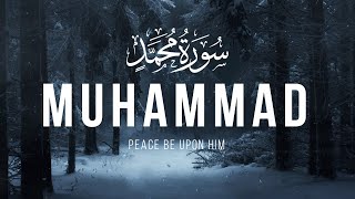 Surah Muhammad سورة محمد  (TRANQUILITY)
