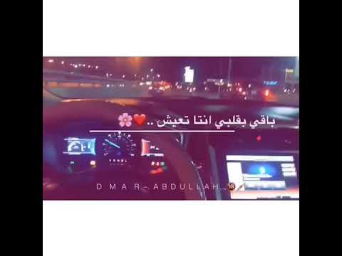 فديوهات حب قصيره اضل اهواك لتالي فديوهات من قلب المركبه حالات واتس اب