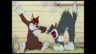 Tom and jerry english episodes - sufferin' cats cartoons for kids
