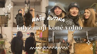 Vlog // Naše rutina, když mají koně volno