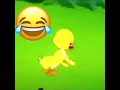 تحت السدره صوت البطه ههه تحت السدره صوت البطه ههه