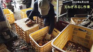 2019061201玉ねぎ吊るし作業#047
