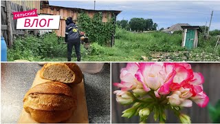 видео: Сельские хлопоты. Покос травы. То жара, то холод. картинка: Сельские хлопоты. Покос травы. То жара, то холод.