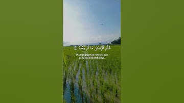 #quran سورة العلق الآيات 1-10