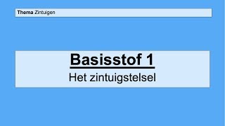 VMBO 3 | Zintuigen | Basisstof 1 Het zintuigstelsel