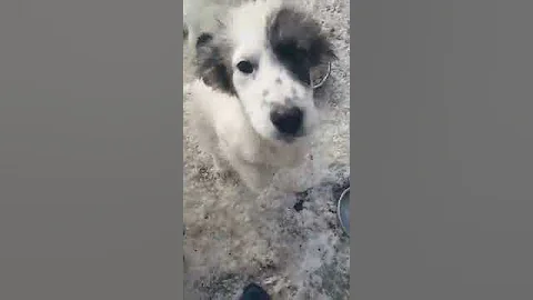 video 1487008166
