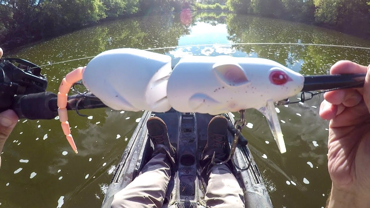 Fishing A Big Rat Lure For River Beasts! - YouTube