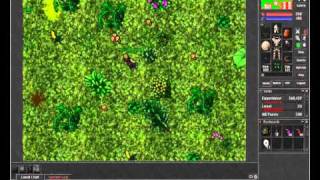 Crocodile Task