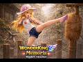 NA WonderKing Shadow attacker Build
