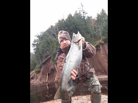 Big German Brown trout caught from lake Superior Shore
