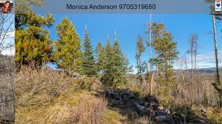 499 GCR 541 Aka Mountain View Ave video tour