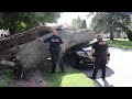 Tree smashes car in La Salle