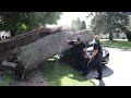 Tree smashes car in La Salle