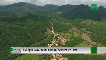 Báo động cấp độ 5 cháy rừng ở Bình Định | VTC14