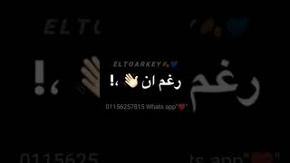 حالات واتس اب مهرجانات فارس حميده