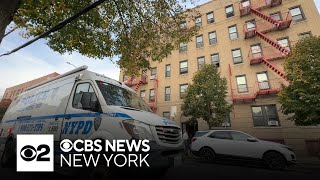 Newborn found dead in courtyard of Bronx apartment building