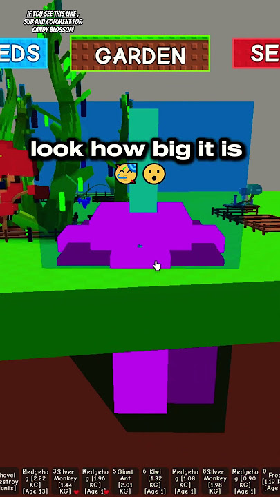 HARVESTING THE BIGGEST MOON MELON IN GROW A GARDEN #roblox #growagarden #robloxedit