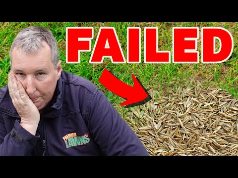 Video: Forskellige typer Crabgrass - Hvor mange typer Crabgrass er der