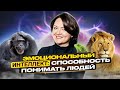 Искусство коммуникации: руководство по эффективному взаимодействию ile ilgili video