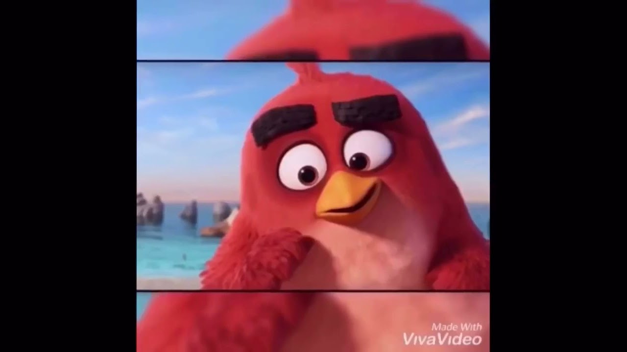 Cake i will survive YouTube