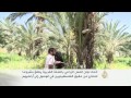 مشروع زراعي بالضفة الغربية للدفاع