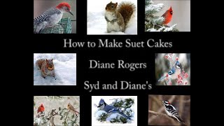 An easy to follow, fast recipe for making suet cakes the birds will love!