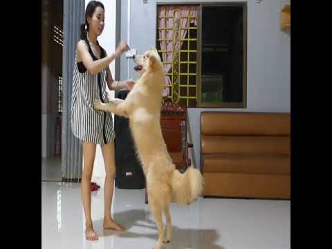 Beautiful Single Mom Feeding And Make Love With Her Dog