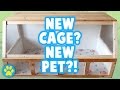 DIY Wood Hamster Cage (1069sq inches) | Part 1/3 DIY Wood Hamster Cage (1069sq inches) | Part 1/3