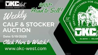 5/19/2026 - Calf & Stocker Auction - OKC West