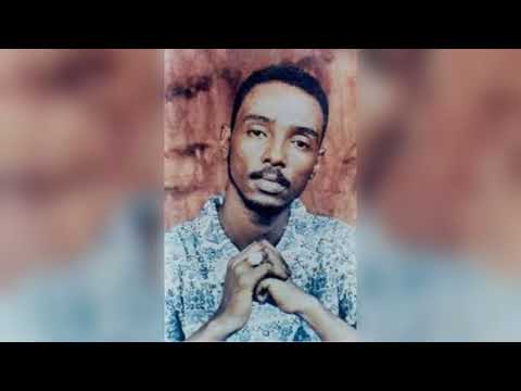محمود عبد العزيز الحزن النبيل
