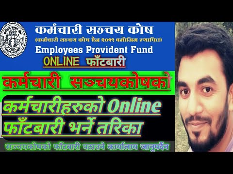 ভিডিও: কিভাবে খেলনা মেশিনকে হারাতে হয়: কিছু কৌশল