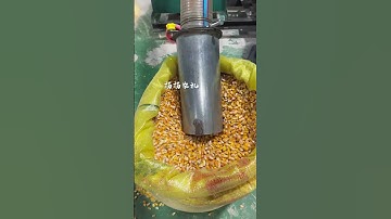 Three-phase electric drive type 400 fully automatic self-priming corn grinder #livestock breeding
