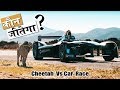 क्या चीता रेसिंग कार को हरा सकता है | Drag Race: Formula E Car vs Cheetah