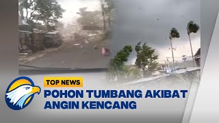 Download lagu Angin Puting Beliung Terjang Kabupaten Malang - [Top News]